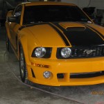 picture-007